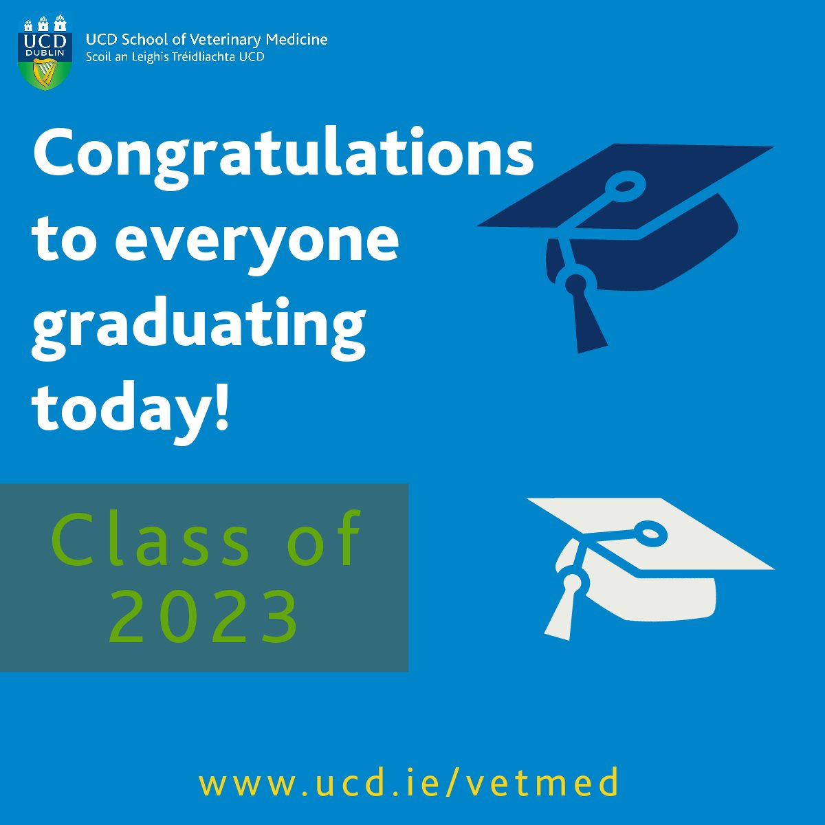 🥳 🧑‍🎓 Congratulations to everyone from across the College of Health & Agricultural Sciences graduating today, especially students from the School of Veterinary Medicine. A live stream of this morning's ceremony will be available here: ucd.ie/confer/webinar…