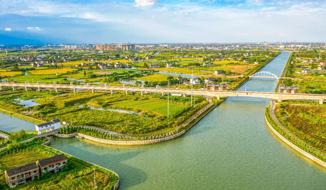 #Taicang's agriculture, culture, and tourism industries have struck a harmonious balance with the natural environment🌲🌊. The city serves as a valuable example for other areas to emulate🥰. #HappyCity #DiscoverTaicang #Taicang30YearStrong #GreenChina