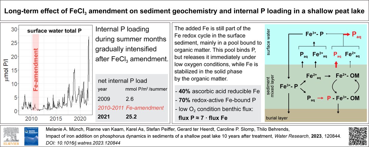 What is the long-term impact of Fe addition in lake sediments on the P dynamics? Read our newest publication! sciencedirect.com/science/articl… @UniUtrecht @UUGeo @WaterNet @unibt @Radboud_Uni @BayFor_UEB @phosphorusfacts @CarolineSlomp @MSCActions