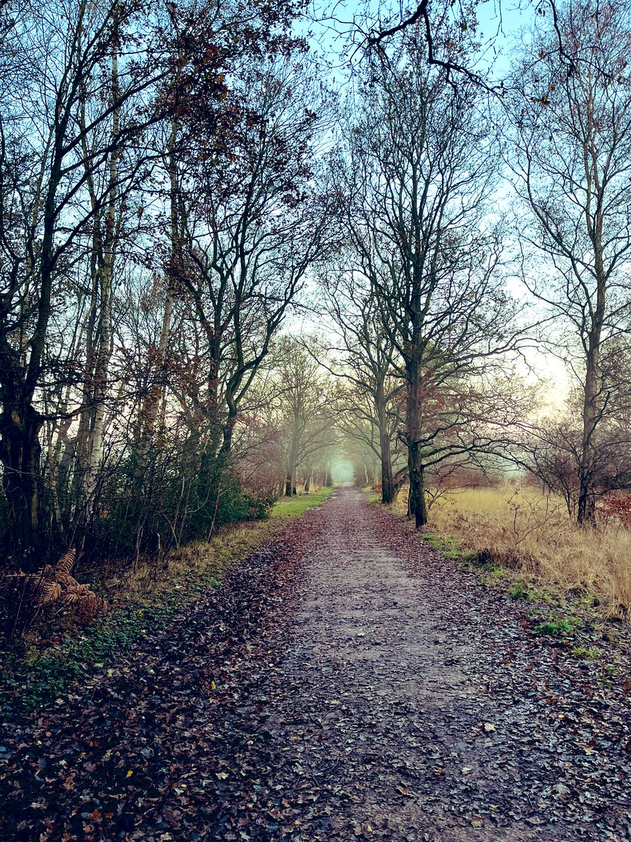 vanya_damyanova tweet media