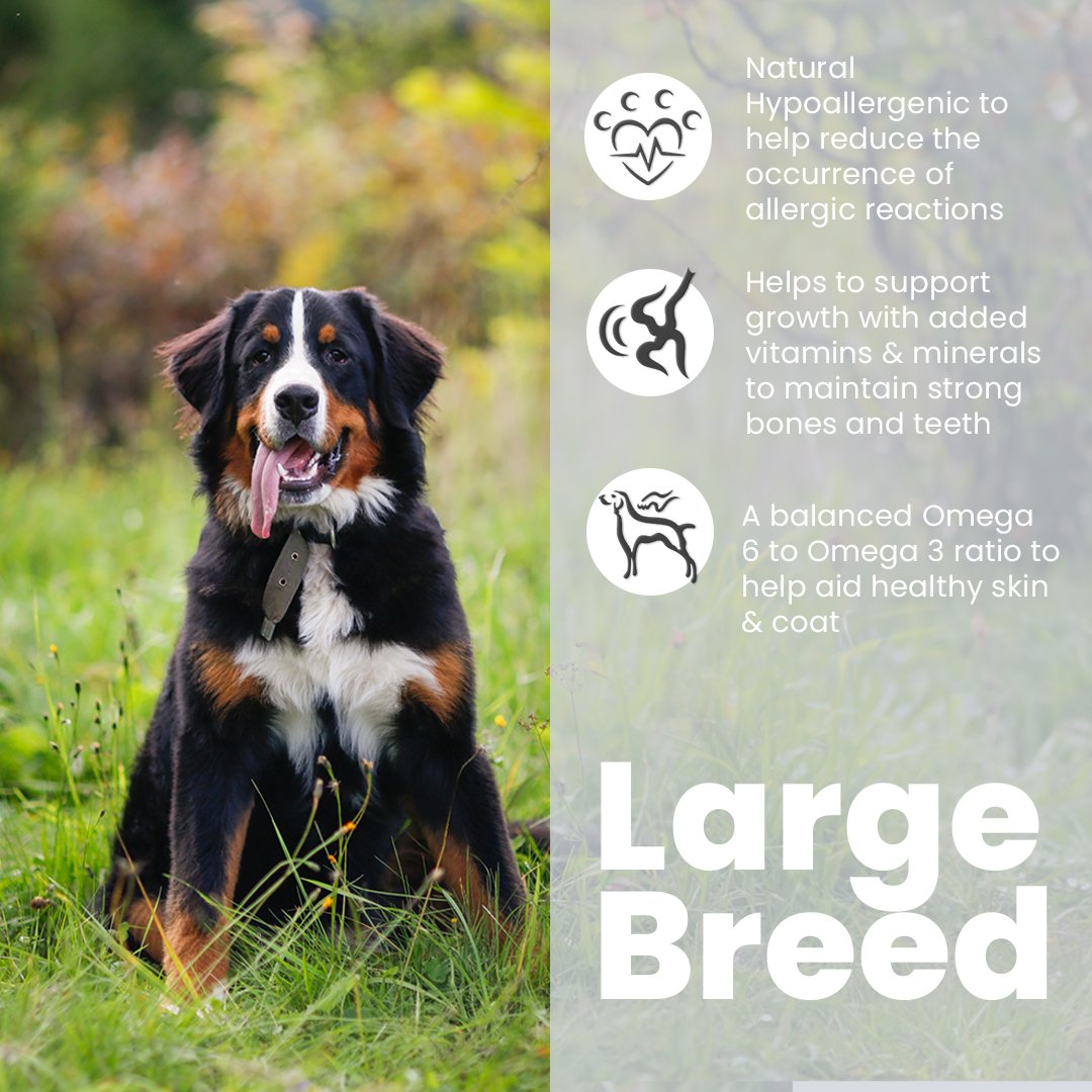 Clinivet Super Premium Nutrition tweet media