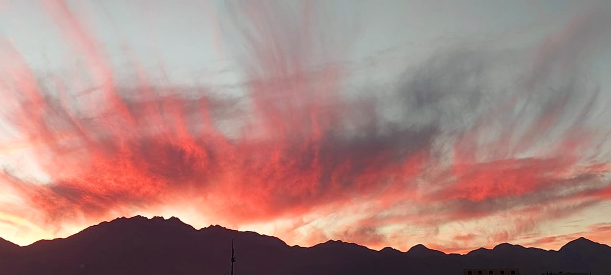 HumeraKarimPak's tweet photo. Today, as when I woke up, I was greeted by the breathtaking sight of the morning sky. This planet is beautiful really.
#NatureBeauty #naturelovers #morningsky https://t.co/mQ0tENvUyM