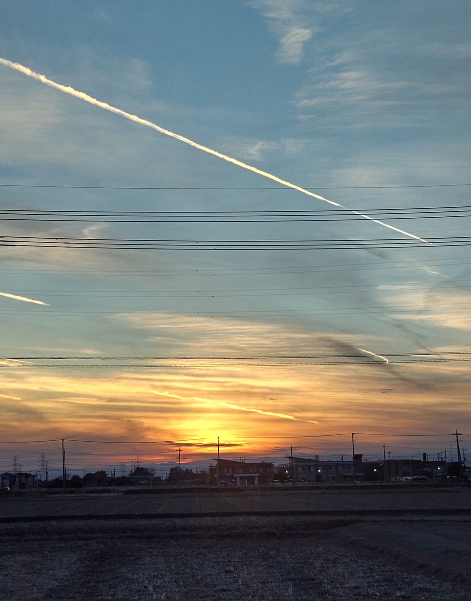 ♪空に憧れて
空をかけてゆく
あの子の命はひこうき雲♪

何時も私の足元に

ちょこんと居たミミが