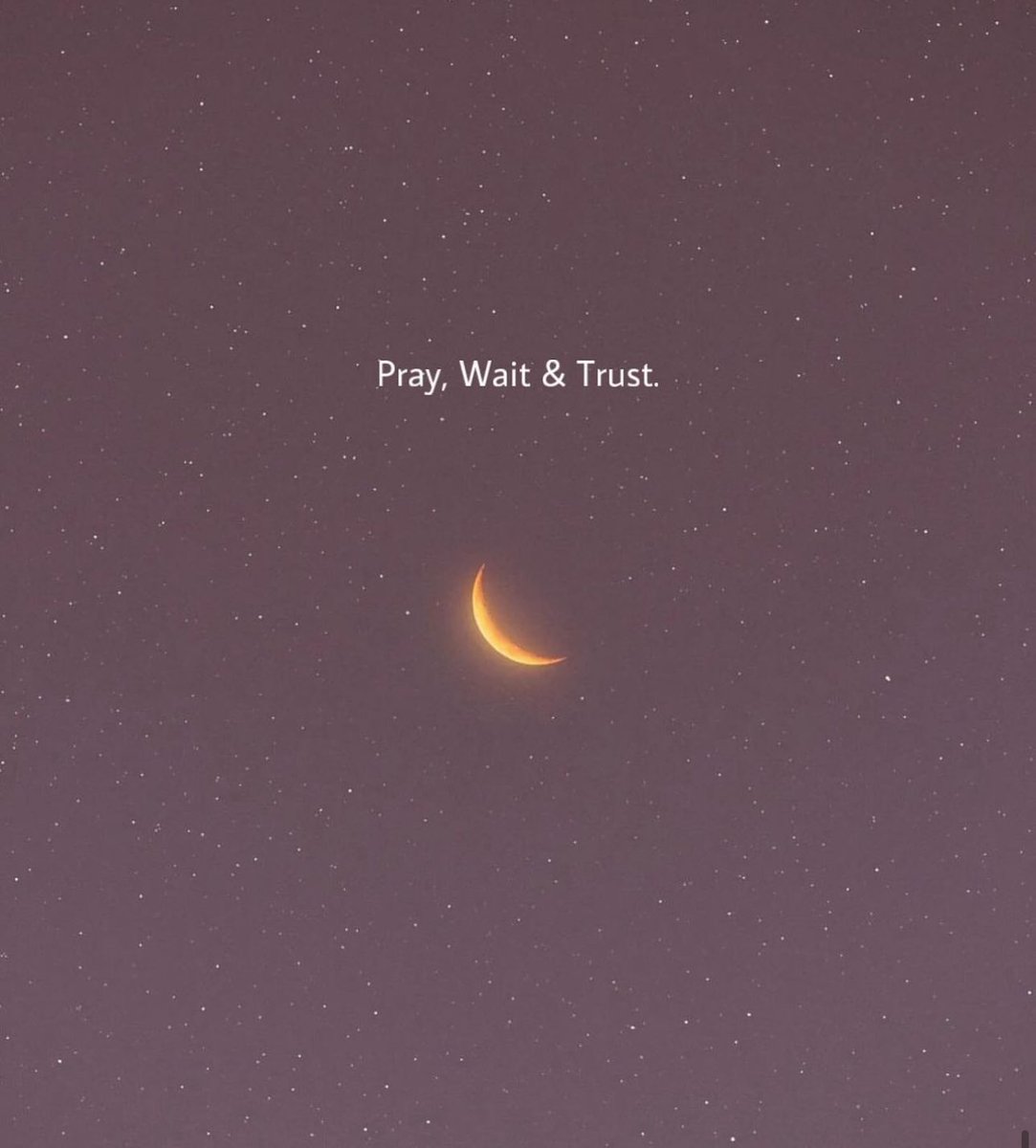 Pray , Wait &amp; Trust