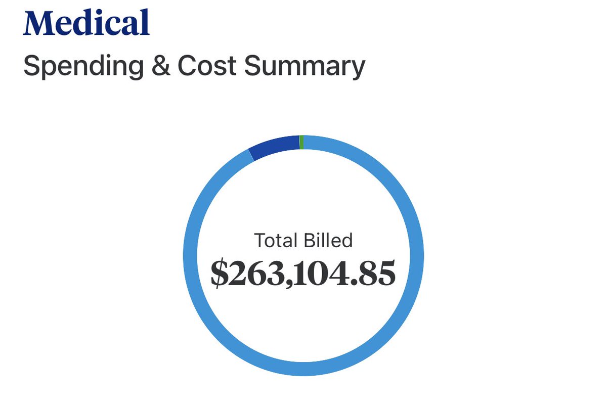 Was having a conversation with my partner and got into how literally no one can afford me medically if I ever legally marry because I’m so medically fragile and chronically ill. Literally just this year alone and this only includes one surgery.  #americanhealthcare #wow