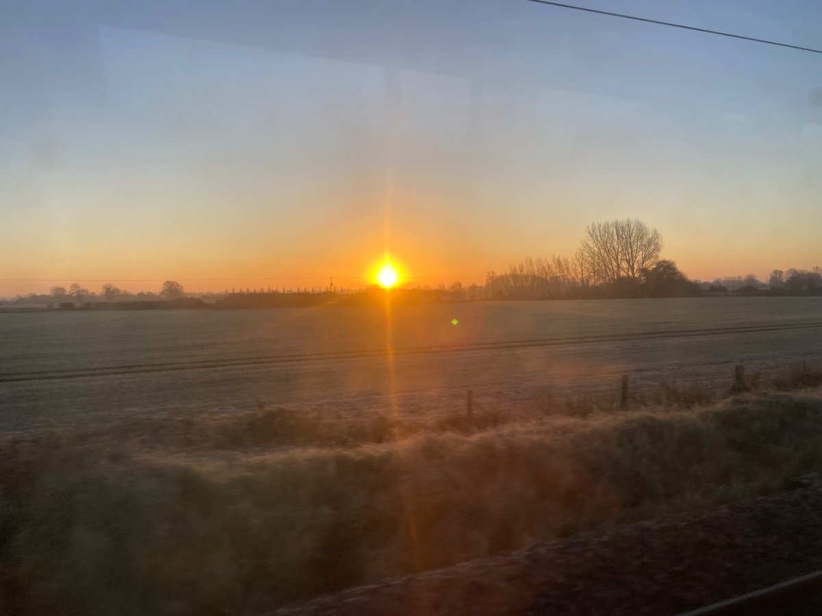 Marie-Pierre Moreau tweet media