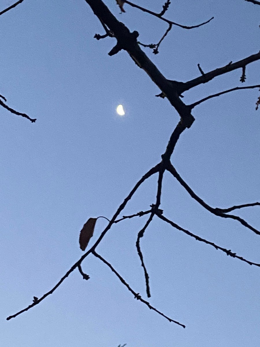 Keen bean on an early morning train to the 2023 SRHE conference. <a href="/Lucie_Wheeler_/">Lucie Wheeler</a> and I will be presenting two papers from my <a href="/SRHE73/">SRHE</a> award about ancillary staff in higher education. Join us!