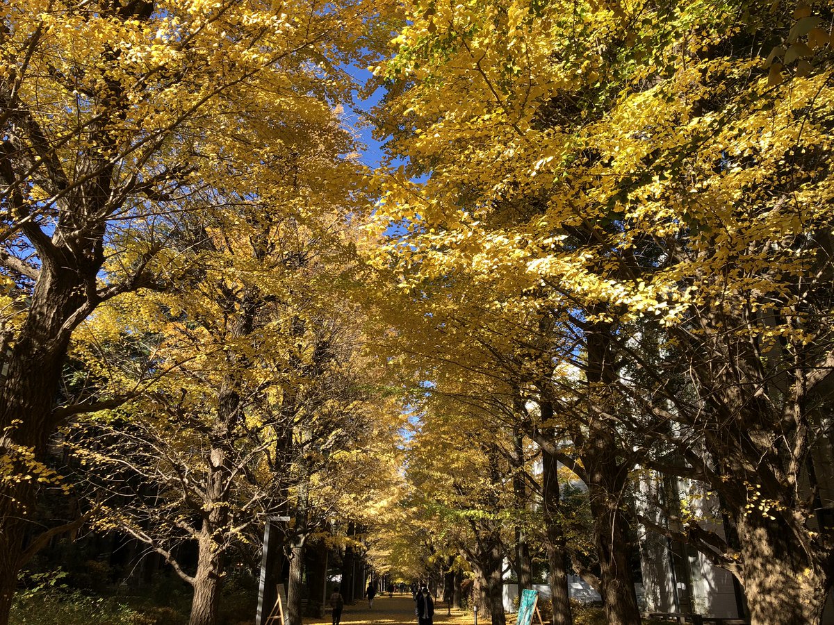 Torsten Weber tweet media