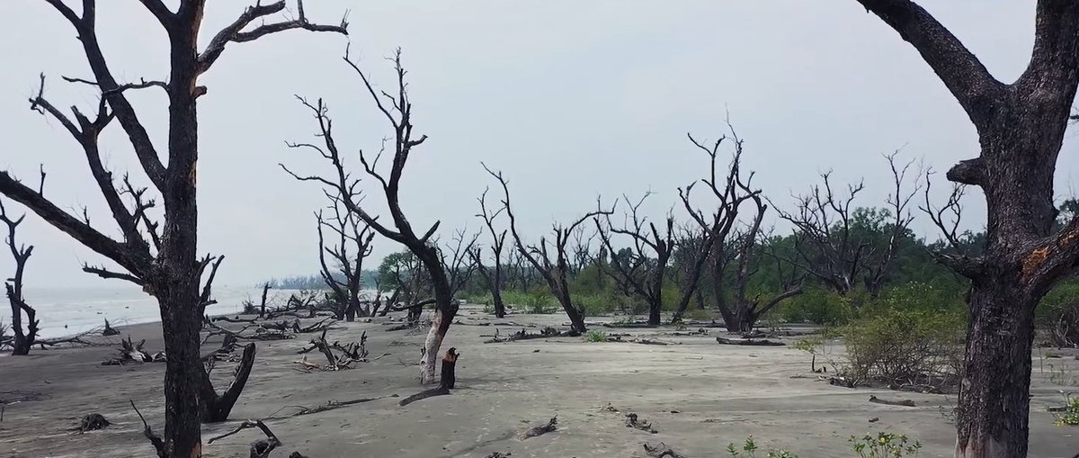 asiaclimatecons's tweet photo. “NOT JUST ANY TRANSITION”: Perspectives on just transition
To check the whole content of the ACCC position on Just Transition, visit our website https://t.co/g0mDn8FXyj
#MakeItRightForClimatePeoplesAndEcosystems https://t.co/o4KjIeJSQc