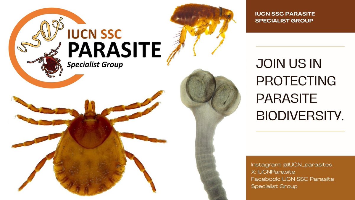 We finally have a voice to advocate for the most unloved, but no less threatened creatures: parasites! They’re species rich, ecologically important, and many are hurtling towards extinction. There’s never been a better time to safeguard threatened parasites! @IUCNParasite