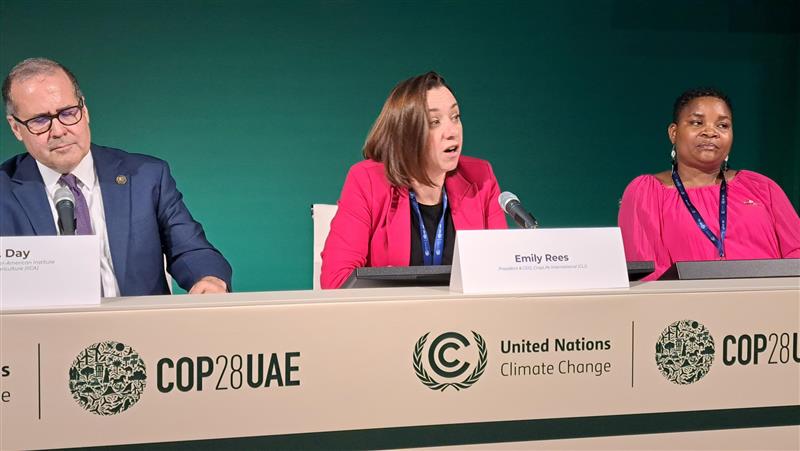 worldfarmersorg's tweet photo. 🗣️ Next to take the floor is @emilyrees_eu, President & CEO of #WFO Partner @CropLifeIntl.  Addressing the question about integrating farmers’ needs into @CropLifeIntl's mission amid #ClimateChange, Ms Rees highlights their commitment to creating an enabling environment for #farmers to access tools and #technologies, fostering their #climate-resiliency.

She also stresses that #sustainable objectives and #Regenerative #Agriculture, pioneered by #farmers, should go hand in hand with profitability and productivity.

#COP28UAE #COP28 #Farmers4Climate #FarmersInAction
