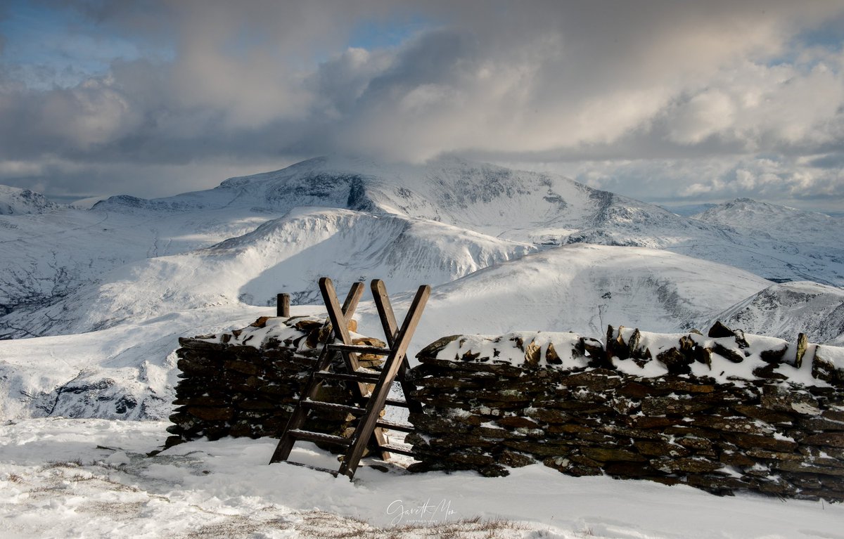 Gareth Mon Jones tweet media