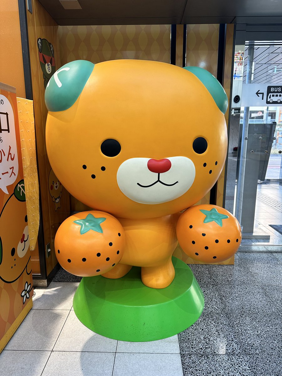 shiya_go's tweet photo. 今夜20時に愛媛のグルメ旅動画アップします！

愛媛は愛に溢れてました…🍊 https://t.co/bSVzbNk2Wx