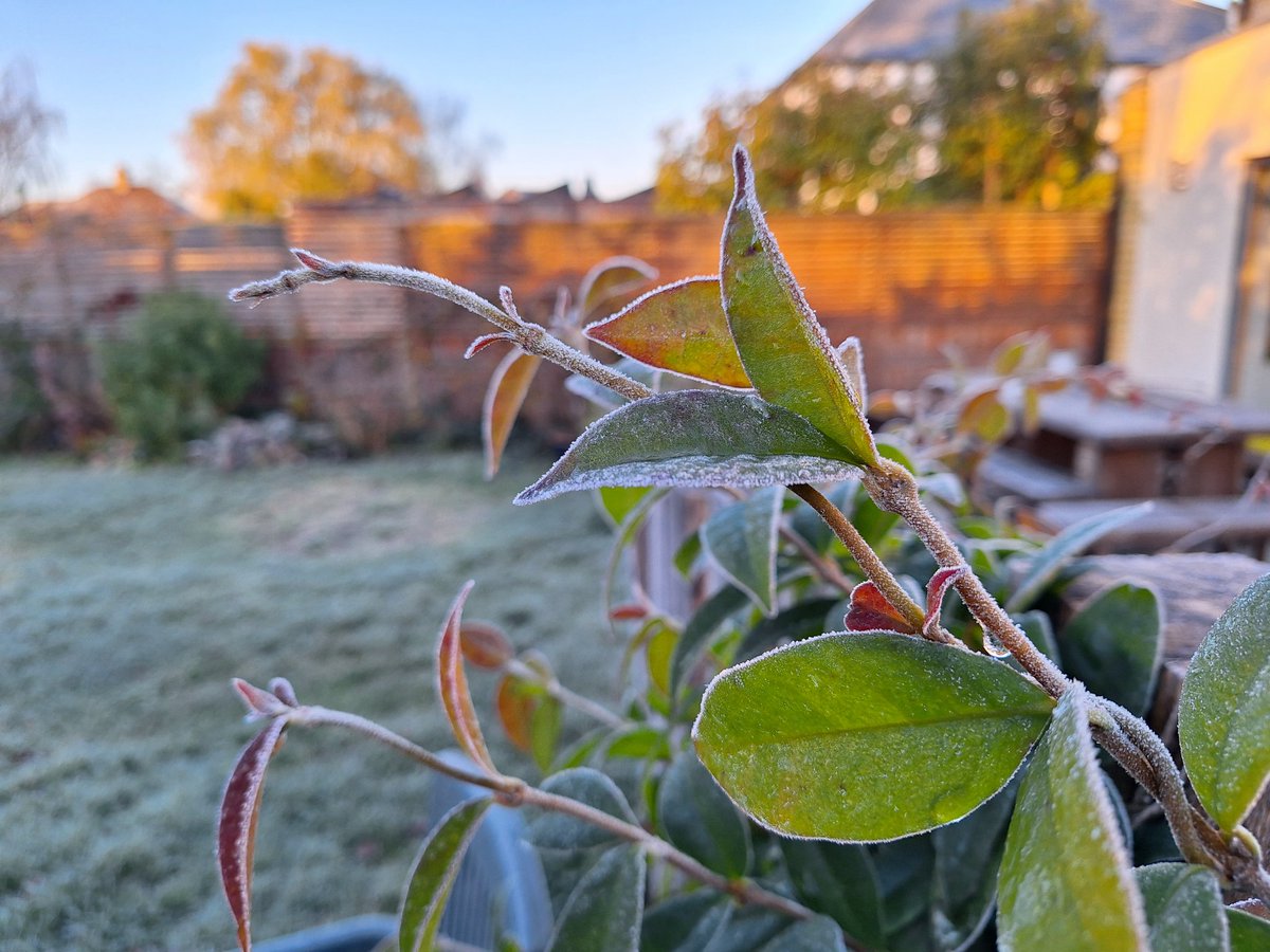 @ChrisPage90 A bright but frosty start in #Cambridge. @DundeeSat @BlackCountryWX @danholley_