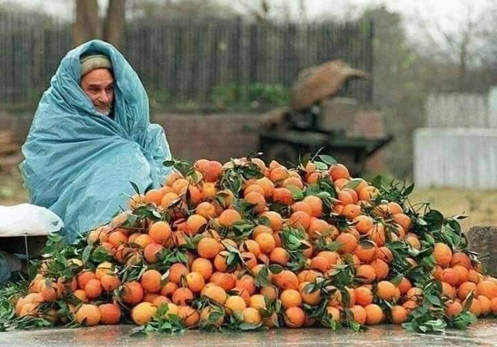 Huge Respect for those who Face a Lot of Hardships to Earn Rizq Halal for their Families ♥️🌸