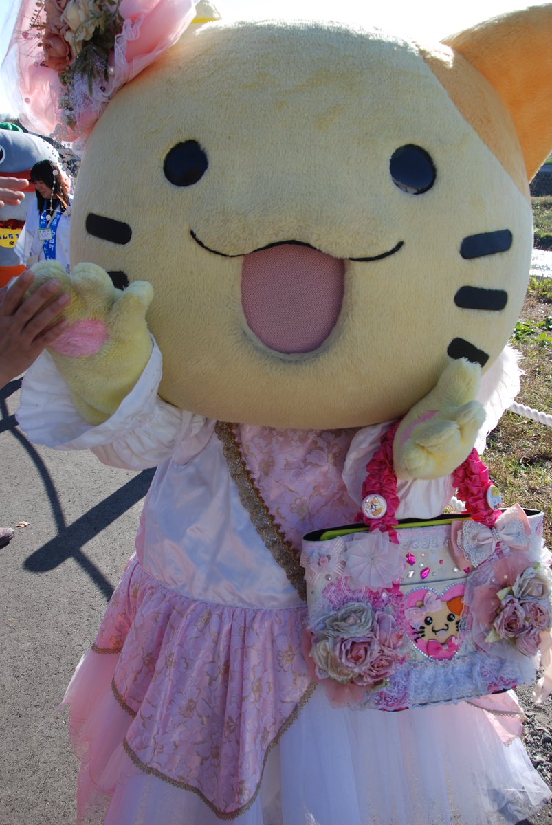 Hiro_kun1967's tweet photo. 志木市民まつりに参加したキャラさん達

#ご当地キャラクター #志木市民まつり2023 #ロップ #ビバッチェくん #安田朗 #みっけちゃん https://t.co/2lYLk7JguY