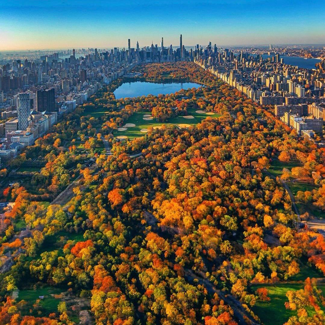 LMPositif's tweet photo. 🇺🇸 L’automne à Central Park, au coeur de New York ! Très bonne journée à tous ! 🍂🍀 

📸 mingomatic https://t.co/D4SgIpOPaQ