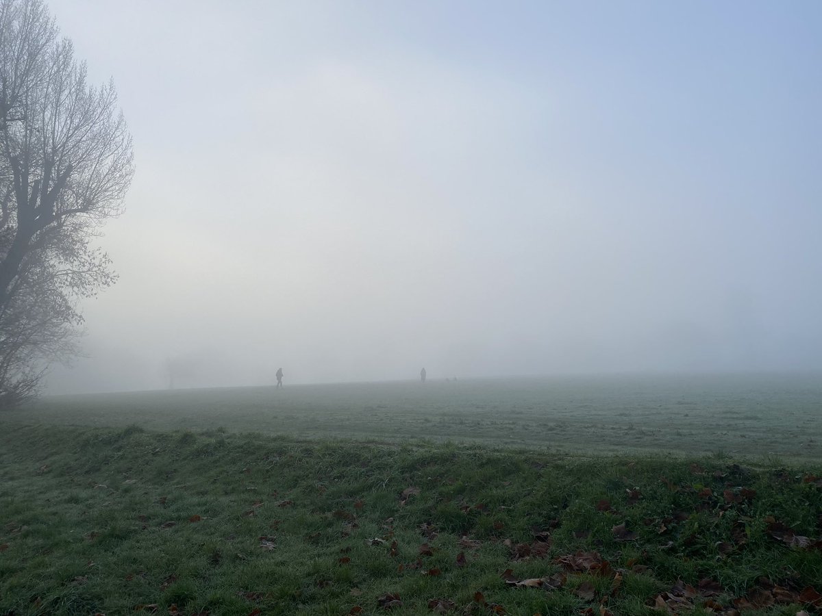 Incredible fog this morning