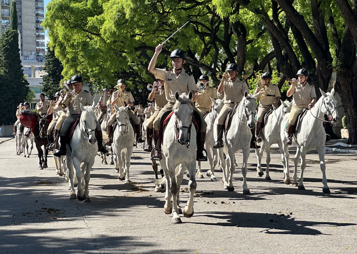 Granaderos a Caballo tweet media