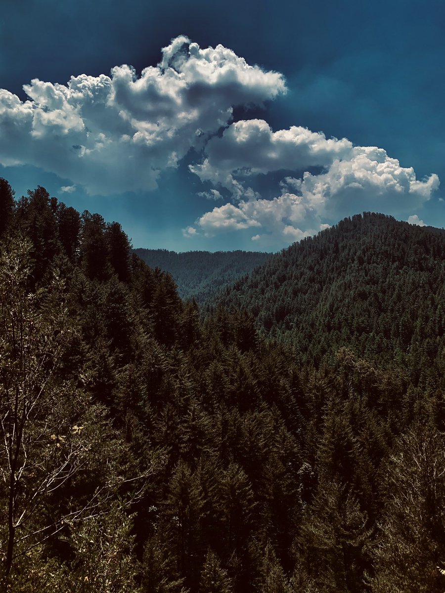 Nature 🥀♥️ #NaturePhotograhpy #photographylovers #NaturalBeauty #NatureBeautiful #NatureBeauty #nature #naturelove #natureclicks #NatureBeauty #NatureLover #clouds #mountains #MOUNTAINEERS #mountain