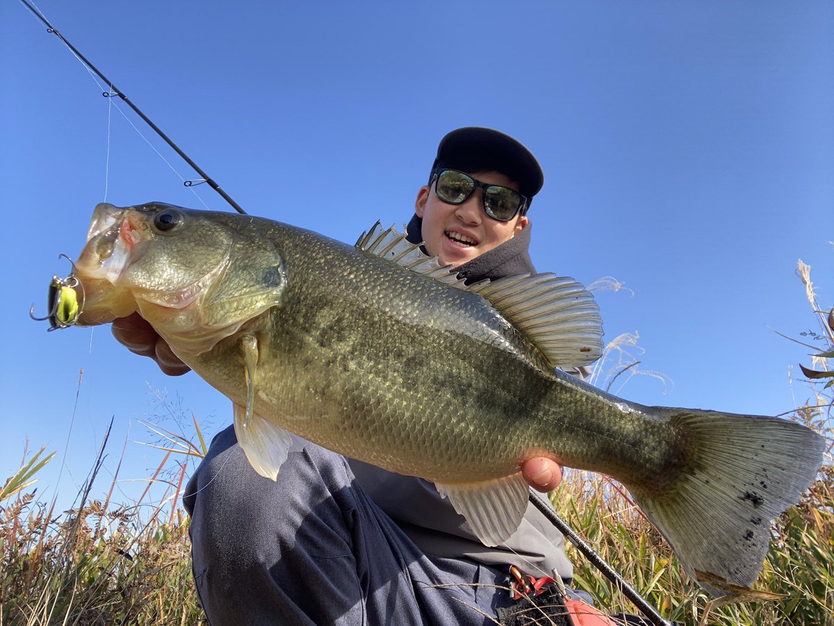 mukoBASS's tweet photo. ここ最近は冬らしい釣りやってます🎣❄️

“エグダマtypeレベルHW5.5g“
　　　　　＋
“2WAY高浮力モデル“を1WAYカットの玉あり✂️
を使った【吊るし】の釣りで50UP🔥

深場に落ちたやつには
“レベルバイブブースト9g“をリフト&amp;フォール💨
こちらでも良い魚釣れています🔥 https://t.co/nxgBEYqTZ1
