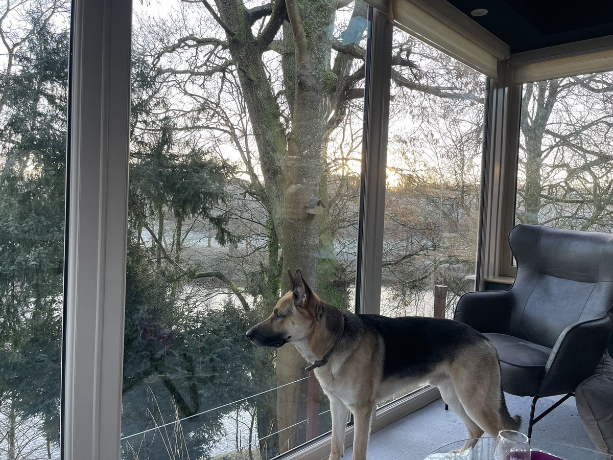 And relax <a href="/neiljcuk/">Neil Creed</a>