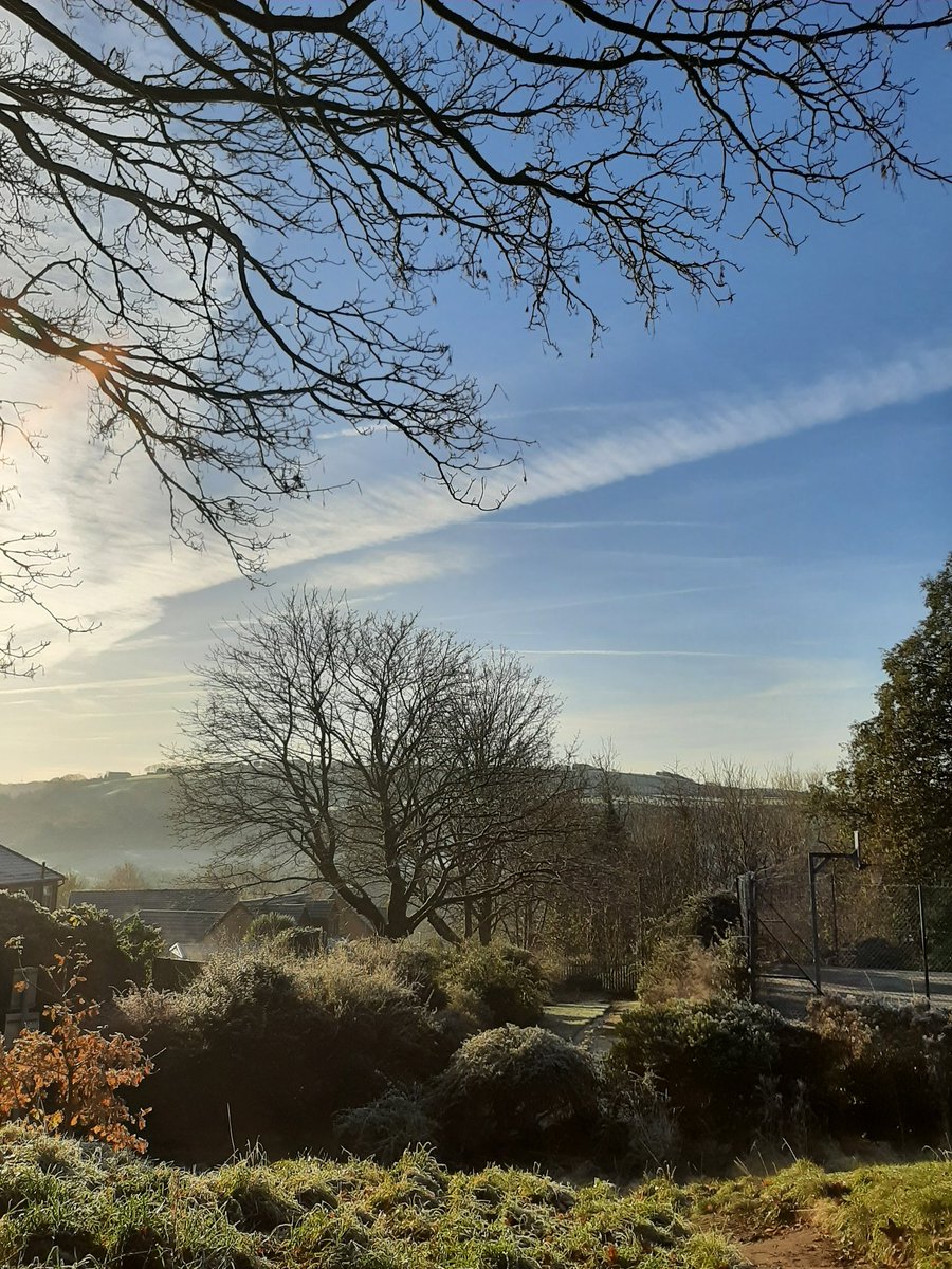 HareMichala's tweet photo. Lovely walk and break from work at lunchtime #WinterSun https://t.co/PML5EJ2kBz