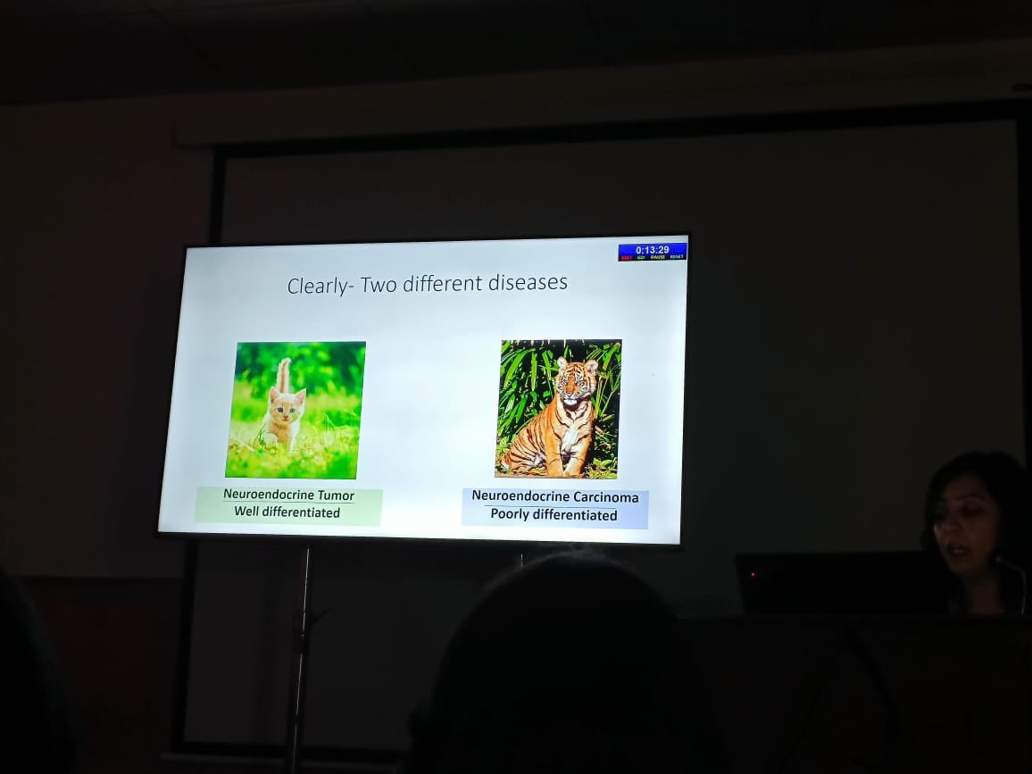 PathSupremacy's tweet image. Workshop on Recent Advances of Head and Neck Pathology,talk by Dr. Munita Bal on ‘NEUROENDOCRINE NEOPLASMS OF HEAD AND NECK’ giving a very witty conclusion!!
@Apcon2023 
#PathTwitter 
#MedTwitter 
#APCON2023