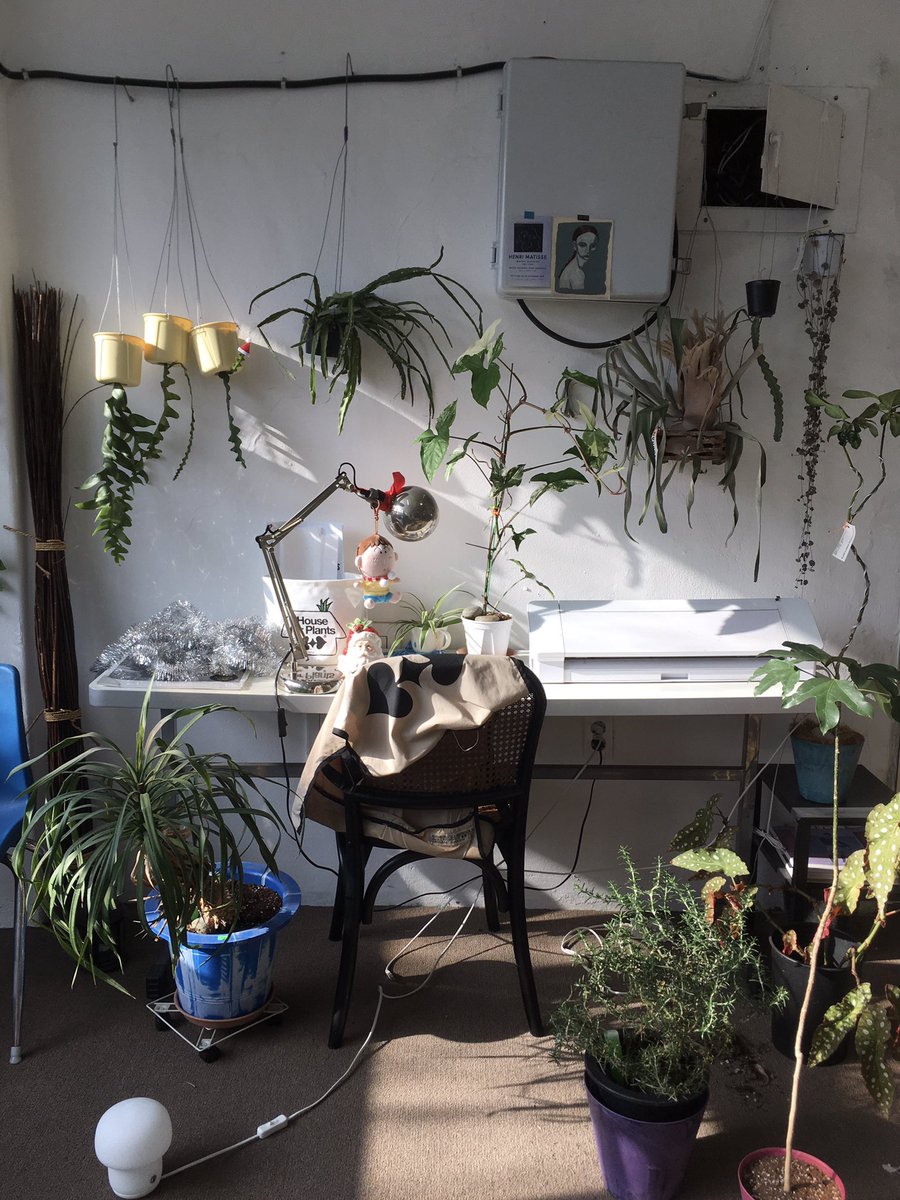 oat (@wwwcozycom) on Twitter photo 