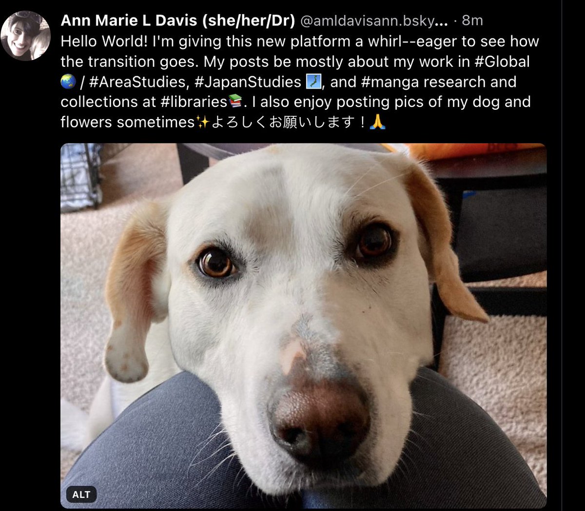 Okay folks~ I'm gonna try to make this transition (or might I say, my "hybrid transition") to #bsky, where I currently have zero followers💥🔥 Hope to see you there~ My new handle is @amldavisann.bsky.social