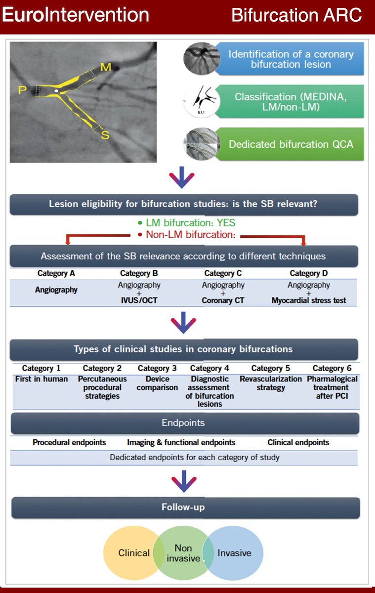 EuroInterventio's tweet photo. This consensus provides standardized definitions for bifurcation lesions; the criteria to judge the side branch relevance; the procedural, mechanistic, and clinical endpoints for every type of bifurcation study; and the follow-up methods. 
https://t.co/0LbNm4oCbN https://t.co/ApESG5idvd
