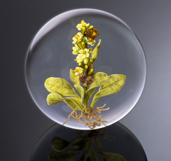 Jay Lustig tweet media