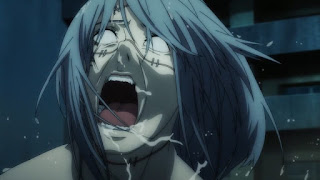 うさぎ (@Ak_Sk_Zn) on X