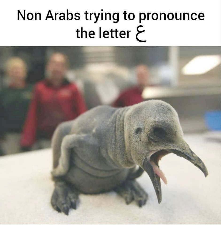 freemonotheist's tweet image. Fact