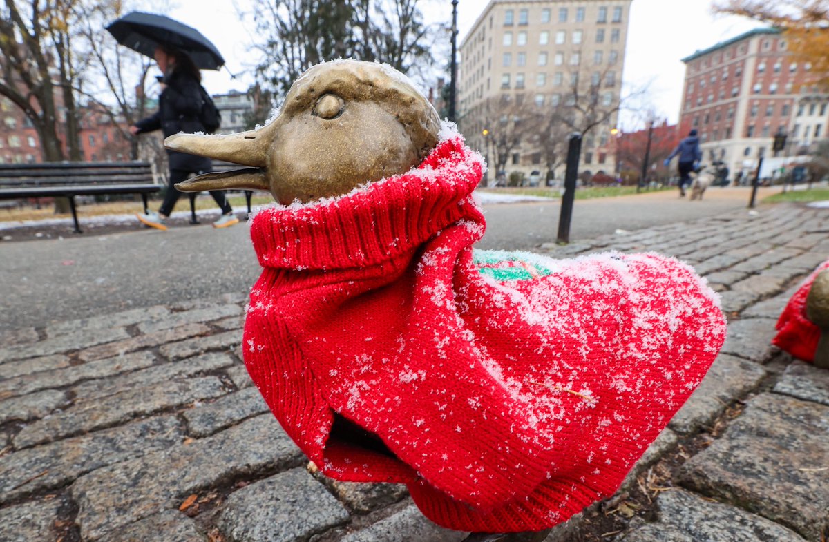 NBC10 Boston (@nbc10boston) on Twitter photo This morning’s light dusting of snow contributed to the festive look along #Boston’s Charles River, Public Garden, and Boston Common. Our weather forecast -> nbcboston.com/weather/parts-… 📸<a href="/pictureboston/">Mark Garfinkel</a> This morning’s light dusting of snow contributed to the festive look along #Boston’s Charles River, Public Garden, and Boston Common. Our weather forecast -> nbcboston.com/weather/parts-… 📸<a href="/pictureboston/">Mark Garfinkel</a>