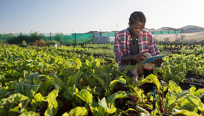 Aon partners to boost Africa’s crop insurance capacity
ow.ly/HJGg50QfCuv

#Aon #CropInsurance #ClimateChangeAfrica #AfricaInsurance