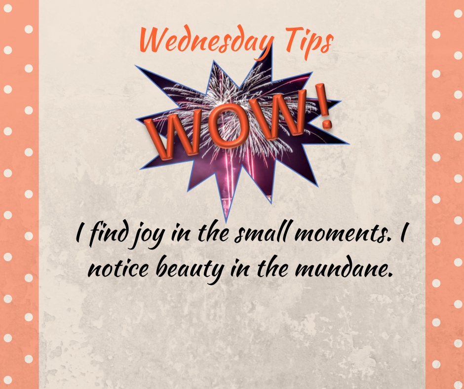 Small or mundane during this holiday season can bring so much joy! #wowwednesday #seasongreetings #smallstuff #leadership #administrativeassistants #wowplace