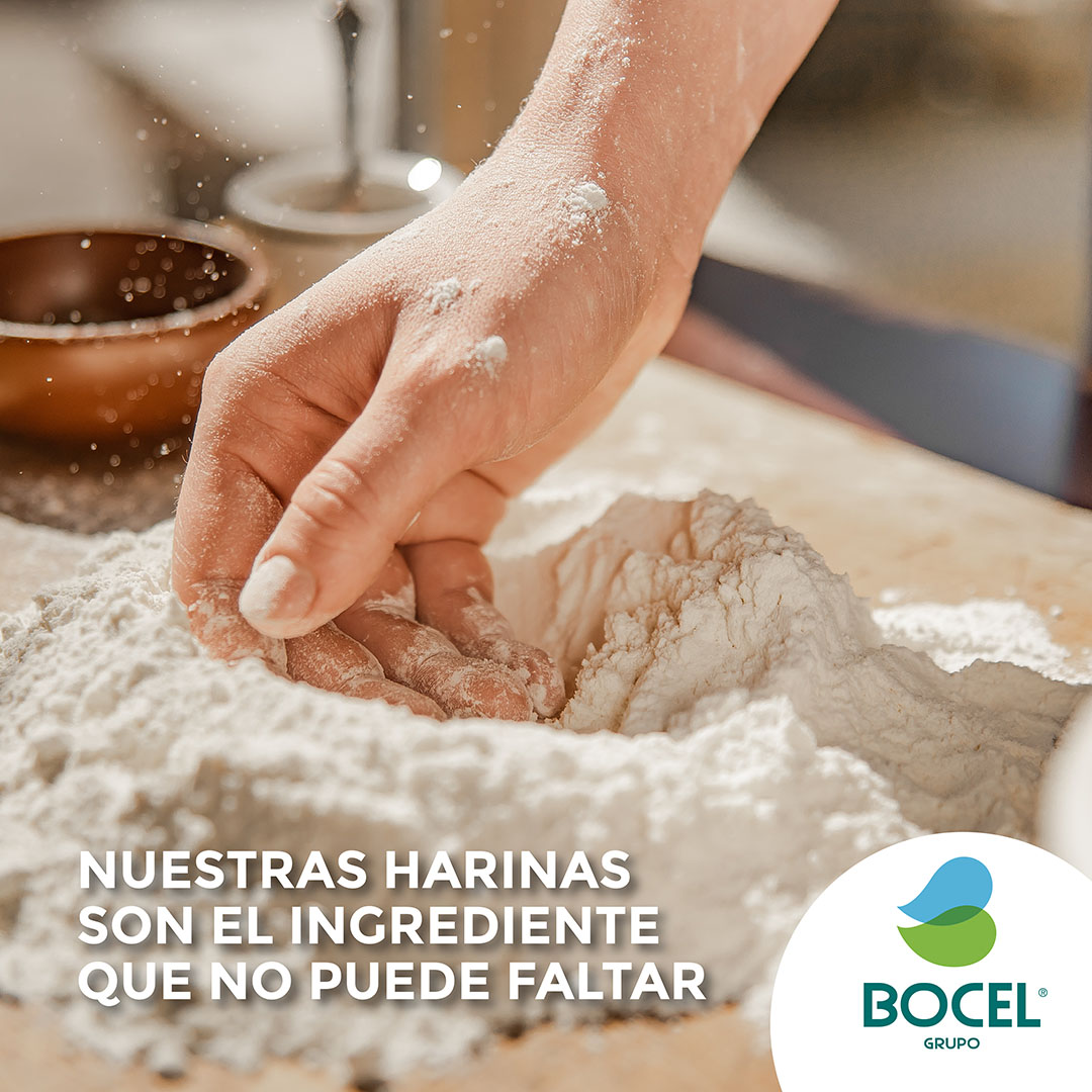 Grupo Bocel tweet media