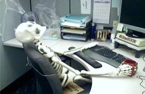 DailyBorle's tweet photo. Waiting for fresh CBorle content. (It's been like this for years.) https://t.co/lLJkb03S3h
