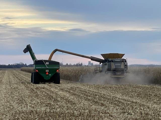 TillageTools's tweet image. Our reps are on the road, visiting dealers, sharing our Early Order Program. Lots of different sights and wildlife along their travels. There were still guys busy in the field at the end of November in Manitoba! 

#BourgaultTillageTools #EarlyOrderProgram