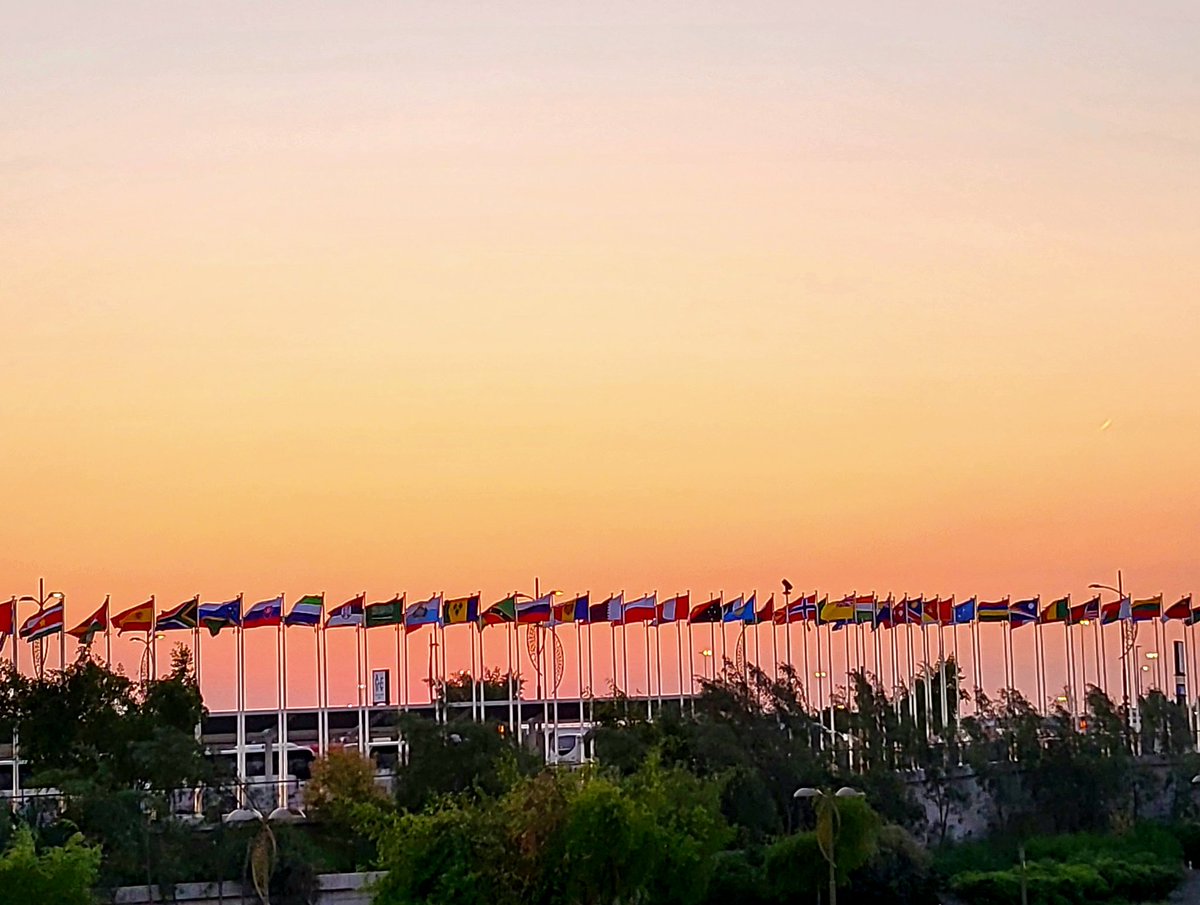 deepa_sena's tweet photo. Made it to @COP28_UAE in time to see the sun set on the first week. Wonder what week two will accomplish? @WalkerInst @UniRdg_SAPD @UniRdg_Research #COP28UAE #GreenZone #climatechange #ecologistlife https://t.co/p7FdmIEbTF