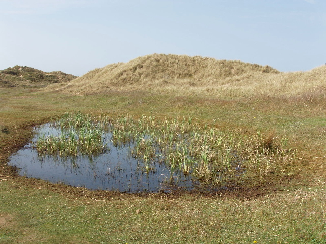 🚨PhD fairy🚨 #ConservationBiology of breeding #NatterjackToads 🐸 in Co. Kerry, Ireland 🇮🇪supervised by me @QUBbioscience 🇬🇧 w/ @MEecoprof & @MarinaIReyne. 3yrs fully funded by @NPWSIreland w/ @ferdia_marnell. 🗓️Deadline 9th Feb! Starts Mar/Apr 2024! 😍

findaphd.com/phds/project/c…