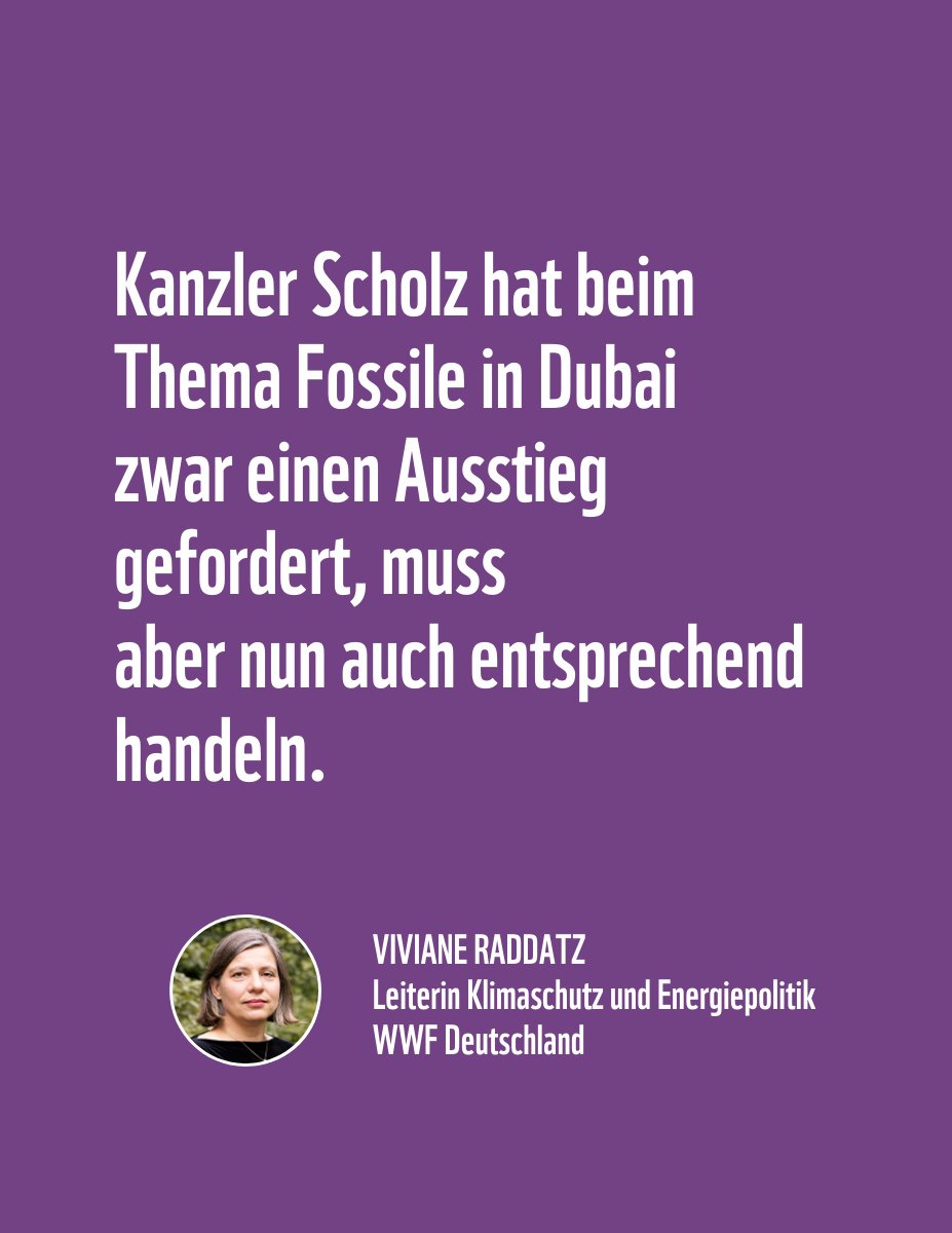 Die #Cop28 ist mit dem schnellen Beschluss zum Loss and Damage Fund vielversprechend gestartet. Jetzt aber geht es um essenzielle Beschlüsse, um die Erderhitzung zu begrenzen. Zeit für ein Zwischenfazit mit unserer Klimachefin @RaddatzWWF, die vor Ort ist. 🧵