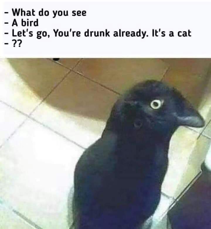 GAq7WIdWoAEym66