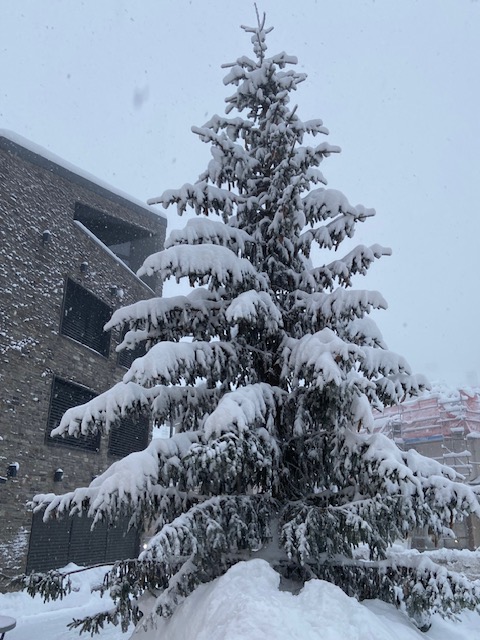 A long weekend of snow in the Alps at #swissweddingvenue delivering a beautiful setting for a perfect event. #swissalpswedding #weddingvenue #exclusivevenue #alpinevenue #weddingbells #weddingvenueideas #exclusivewedding #exclusivecelebrations #weddings #wedding #whitewedding