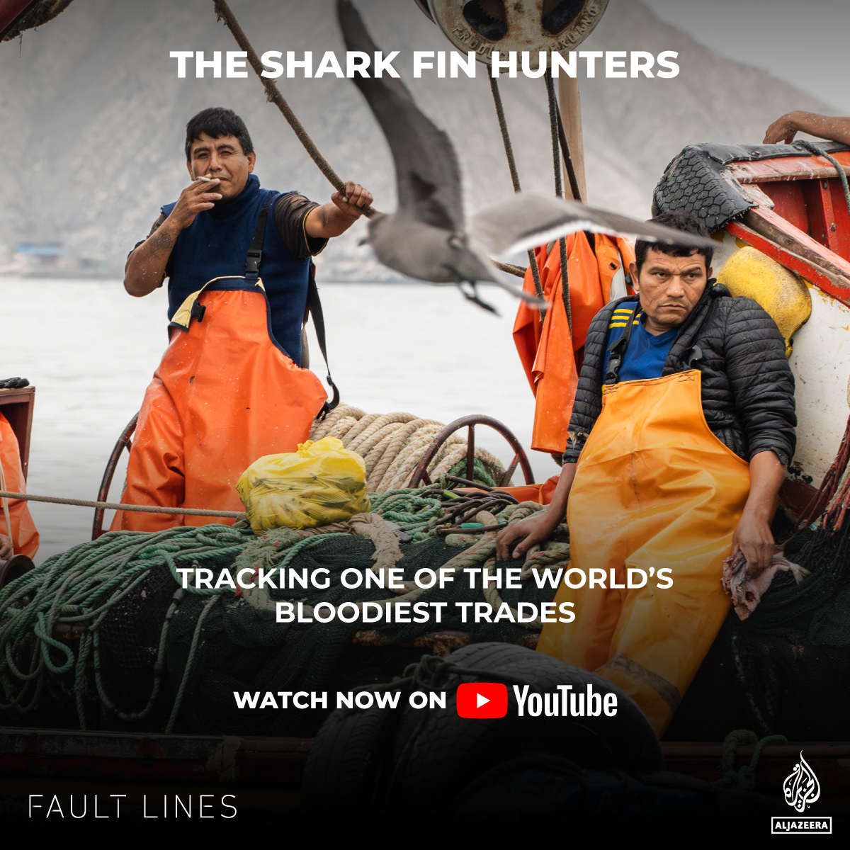 In our latest #documentary, The Shark Fin Hunters, we take you inside the opaque world of shark fin smuggling, and the effort to crack down on the trade. Tap the link to #watch our exclusive #investigation in #Peru, #Ecuador, and #NYC: aje.io/sharks