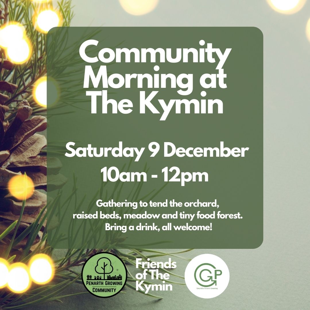 This Sat is our next community morning at The Kymin, 10-12 with @friendsofthekymin 

We'll be pottering around the raised beds &amp; removing brambles from the woodland edge/bug hotel area, and appreciating Christmastime.

Bring a drink with you, for a natter at 11.

All welcome 🙏
