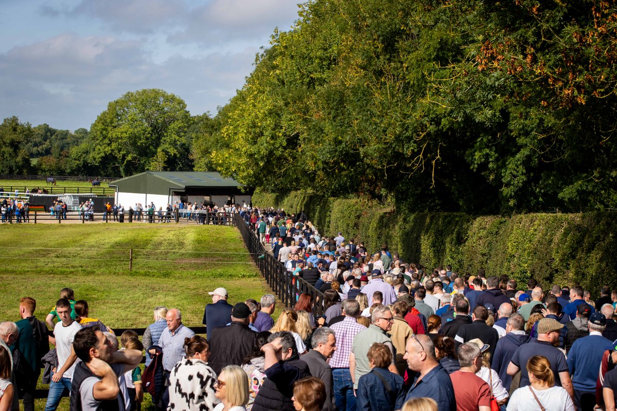 HRIOwners's tweet photo. ⏪ Trainer Open Morning Lookback

In September we welcomed a record-breaking 2,000 + attendees in Co. Meath at @gelliott_racing's Open Morning 👏

Sign up now for 2024 ➡️ https://t.co/FjuFfq45p0

#TrainerOpenMorning https://t.co/Pnt6qX34oB