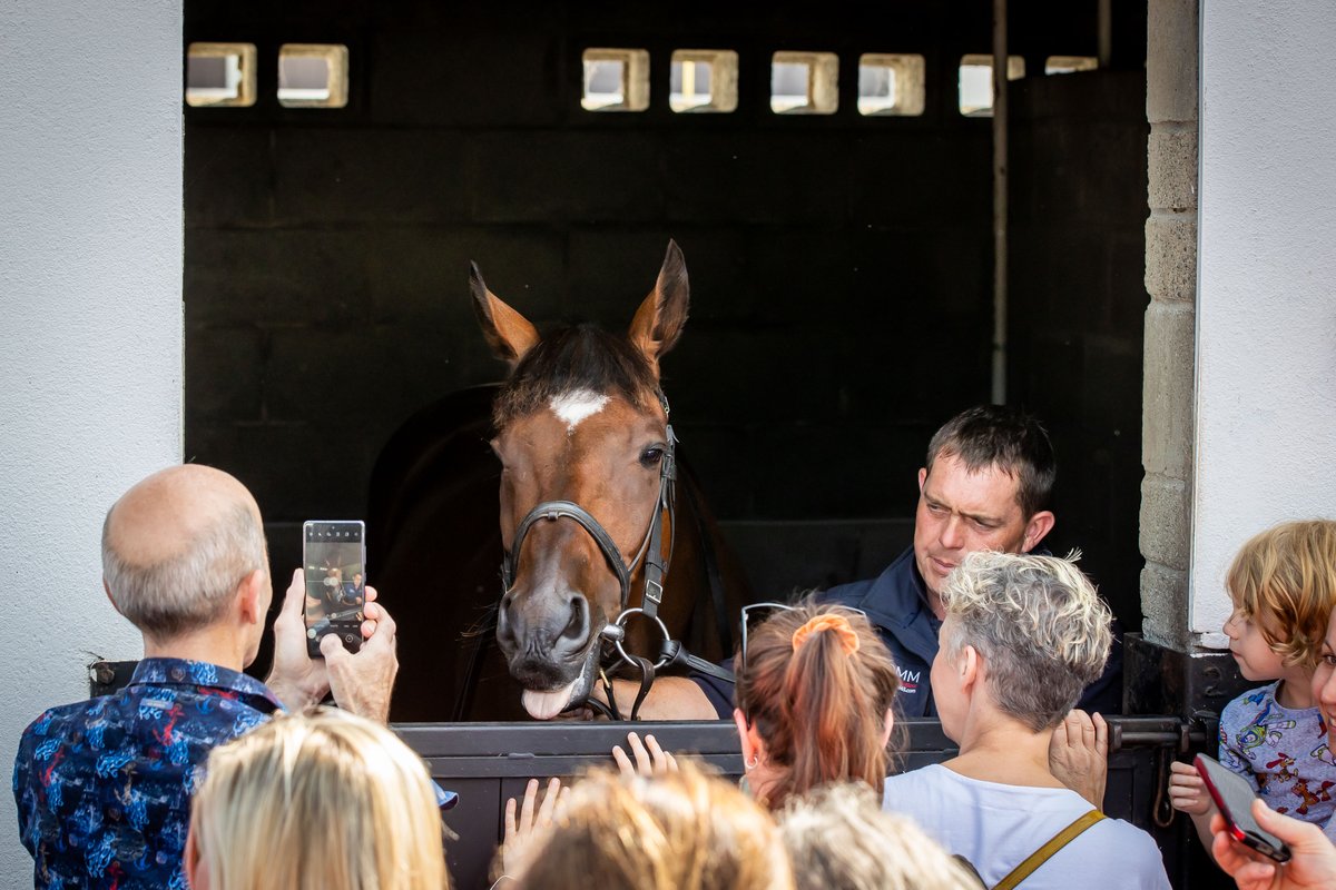 HRIOwners's tweet photo. ⏪ Trainer Open Morning Lookback

In September we welcomed a record-breaking 2,000 + attendees in Co. Meath at @gelliott_racing's Open Morning 👏

Sign up now for 2024 ➡️ https://t.co/FjuFfq45p0

#TrainerOpenMorning https://t.co/Pnt6qX34oB