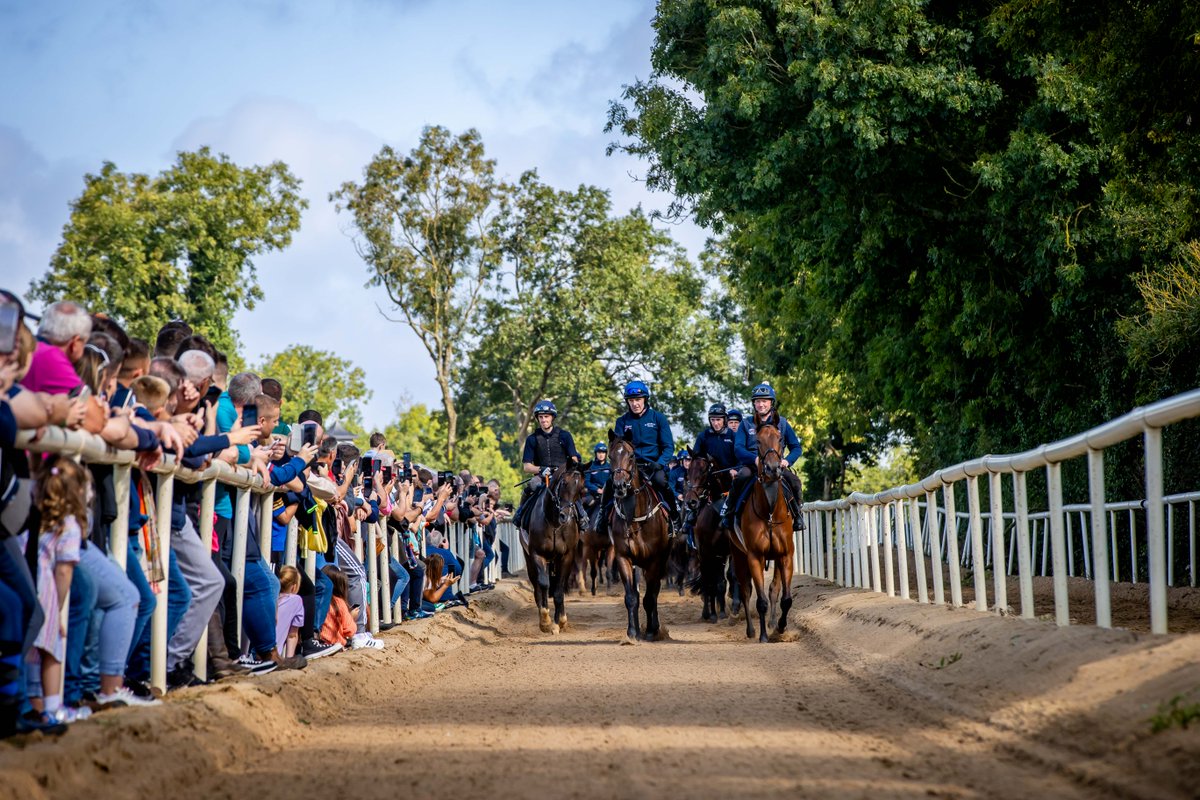 HRIOwners's tweet photo. ⏪ Trainer Open Morning Lookback

In September we welcomed a record-breaking 2,000 + attendees in Co. Meath at @gelliott_racing's Open Morning 👏

Sign up now for 2024 ➡️ https://t.co/FjuFfq45p0

#TrainerOpenMorning https://t.co/Pnt6qX34oB